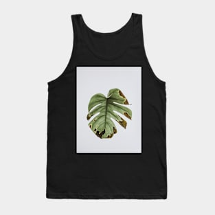 Monstera, Leaf, Green, Plant, Tropical, Nature print Tank Top